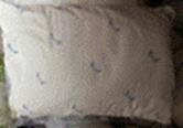 http://211.93.39.21:8001/system/_owners/jmszyyn/_webprj/svwl_image005.gif