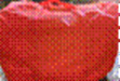 http://211.93.39.21:8001/system/_owners/jmszyyn/_webprj/svwl_image012.gif